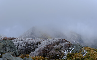 日本の四国にある春先の笹ヶ峰頂上から見た雪が残る風景