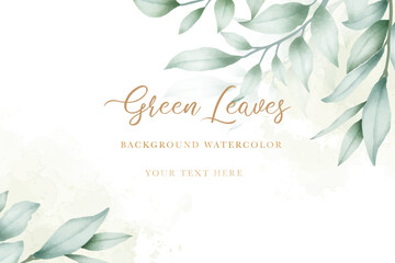 Watercolor Eucalyptus Background Graphic