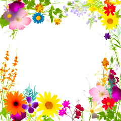 Obraz premium Wildflowers on a white background, ideal for banners, shallow depth of field, Illustrative Generative AI