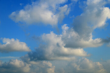 white fluffy clouds in the blue sky