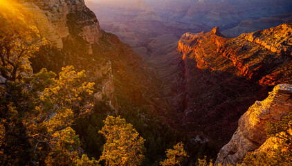 Grand Canyon north rim at golden sunset, Arizona. Canyon National Park. View of a desert mountain....