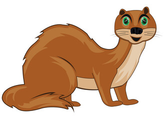 Wildlife polecat on white background is insulated