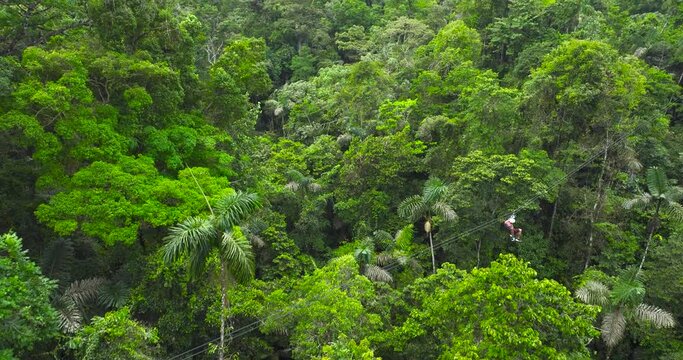 A person coming down from a mountain to the valley on a suspended zipline, surrounded by lush vegetation. Aerial drone view, forward movement.
