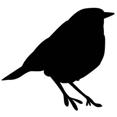 bird silhouette