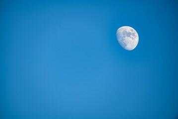 Moon in daylight on the bright sky.