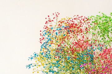 Bright multi-colored flowers close-up against the background of a smooth white wall in the interior of the apartment