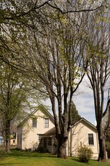 Naklejka premium Vertical shot of the houses in Port Gamble, Washington, USA