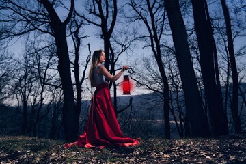 Fashionable young woman in a red dress a forest