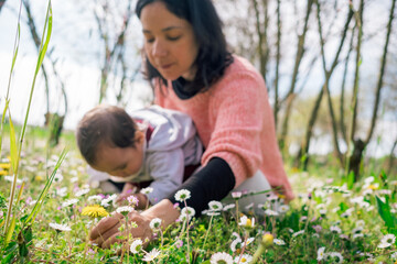 mother and baby daughter picking up flowers and daisies in meadows during blossom season on a sunny spring day. concept of motherhood and enjoying time together in the outdoors nature