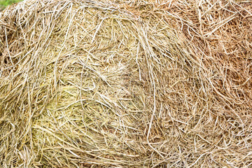 A pile of hay against the background of hills covered with forests.