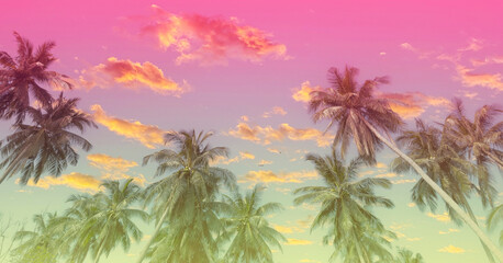 Fototapeta na wymiar Summer with colorful theme as palm trees background as texture frame background