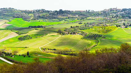 Fototapeta na wymiar Green fields springtime landscape panoramic view in Tuscany, Italy 