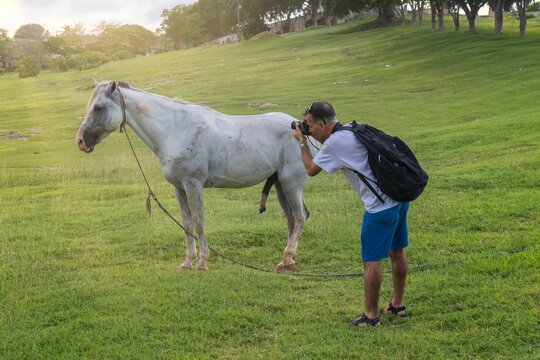 Photographer taking a photo of a white hourse in the green field.