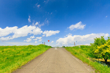 春の青空と一時停止の標識のある丁字路