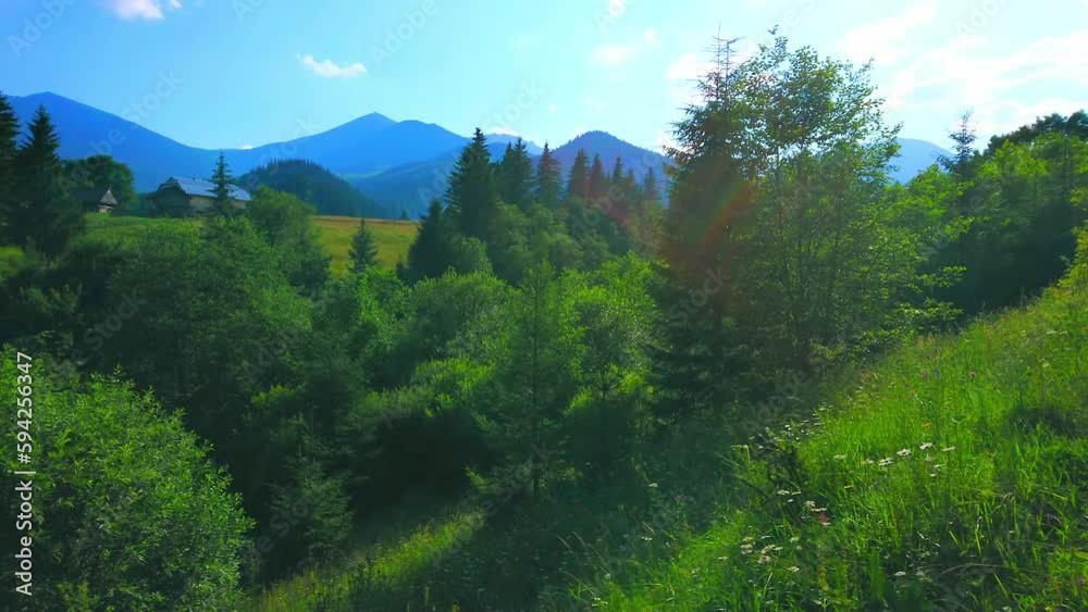 Sticker Green forests and mountain silhouettes from Dzembronia, Carpathians, Ukraine