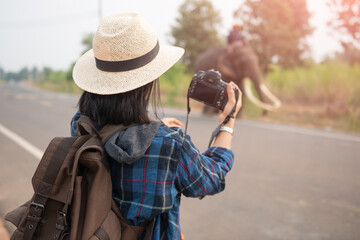 female traveler holding the camera for taking pictures. woman traveler with backpack holding hat and looking at amazing  watching elephants, wanderlust travel concept, atmospheric epic moment.