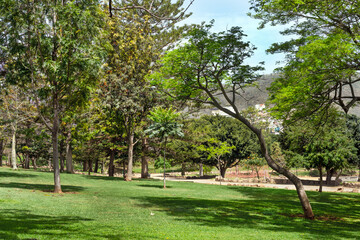 Public park Garcia Sanabria on a sunny day. Santa Cruz, Tenerife, Canary Islands.