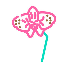 orchid blossom spring color icon vector illustration