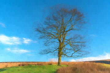 A solitary tree during autumn with no leaves