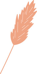Hand Drawn Feather