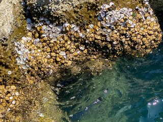 stone in the water, ‎Krabi, Thailand, Strait of Malacca