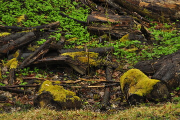 Kaliningrad is a city in Russia, the administrative center of the Kaliningrad Region, which is the westernmost regional center of the Russian Federation.