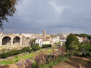 로마 여행에서 찍은 사진 