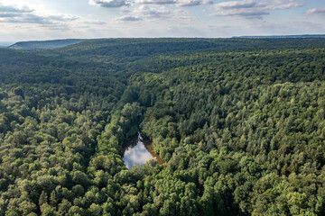 forest_aerial