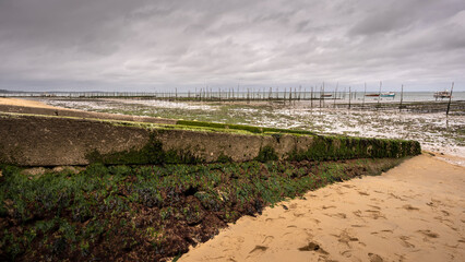 Le Bassin d'Arcachon avec ses parcs à huîtres photographié depuis le Cap Ferret par temps de...