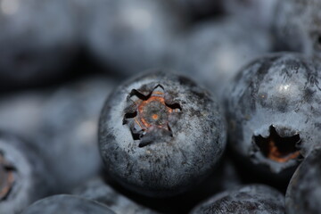 Fresh blueberries background top view concept of healthy and dieting eating big size high quality botanical print vaccinium corymbosum family ericaceae