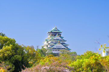 Naklejka premium 大阪城