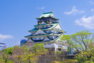 Fototapeta premium 大阪城