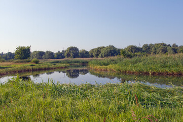 Nature in the countryside. Lake, meadow, forest, sky