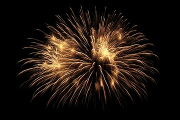 Golden Firework on Black Isolated Background with illustration light Glow