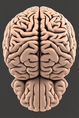 3d rendered illustration of a brain