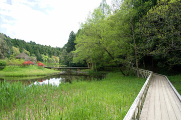 七ツ洞公園の池