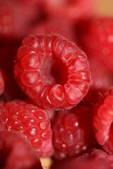 Fresh red cultivated ripe raspberries and currant berries, healthy food texture background angle view macro rubus phoenicolasius family rosaceae big size high quality botanical prints