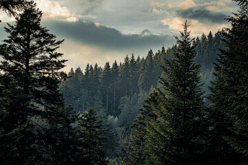 sunrise over the big mountains