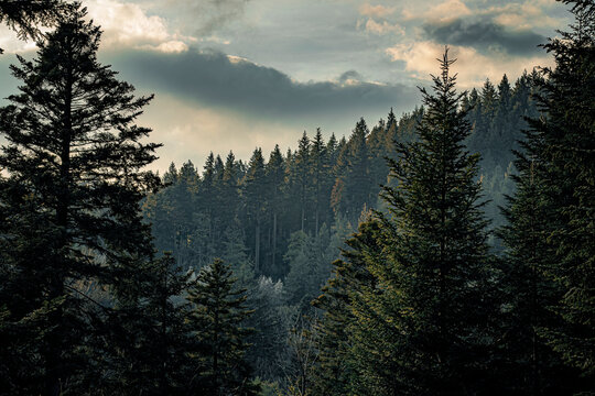 sunrise over the big mountains