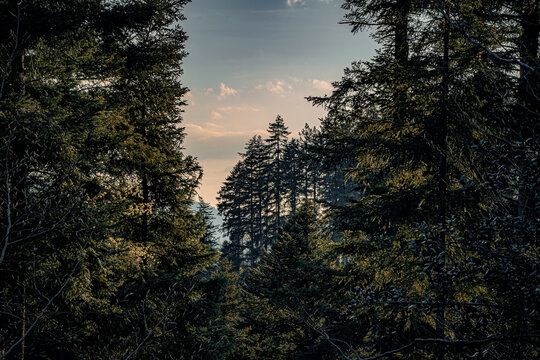 sunset in the beautiful mountains