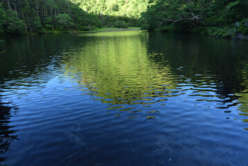 Mountain climbing in summer season