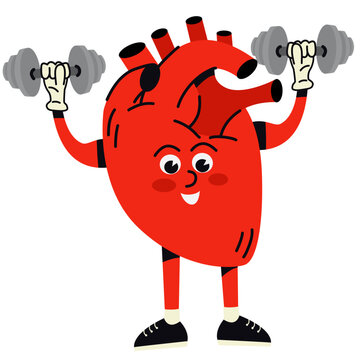 Happy healthy smiling cartoon heart,human organ,  doing exercises with dumbbells weights.Cartoon human organs.