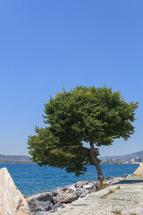 beautiful view on the sea and mountains on sunny day