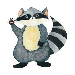 Watercolour cute childish character from forest animals raccoon hand drawn isolated on white. High quality illustration