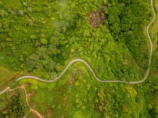 Aerial view of asphalt road turning in the forest