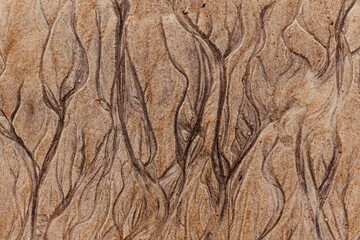 Abstract scene of sands with wavy textures, perfect for wallpapers