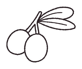 オリーブの実のベクター線画イラスト