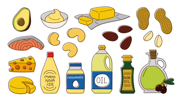 脂質を多く含む食品のベクター線画イラスト／油・ナッツ・チーズ・アボカドなど