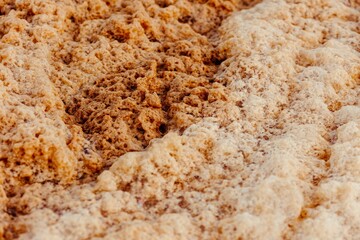 Closeup of brownish fluffy foam, perfect for wallpapers