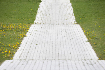 A wide path layed with decorative bricks in the middle of a grass field